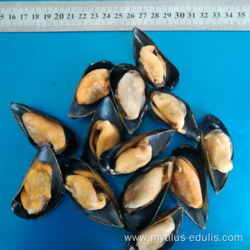 well cleaned boiled cooked mussel meat